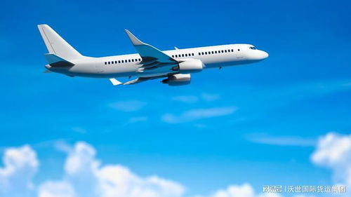 空运进口报关流程深度解析 揭秘国际贸易的关键之门